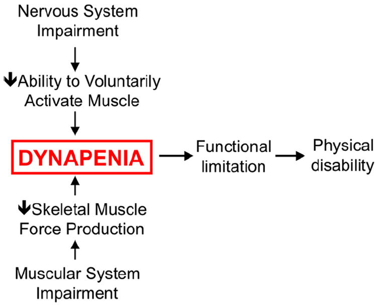 What is dynapenia (Clark and Manini, 2012)