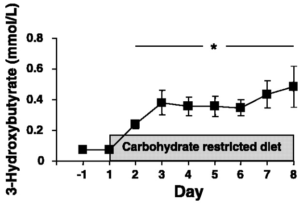 The Ketogenic Diet’s Impact on Body Fat, Muscle Mass, Strength, and ...